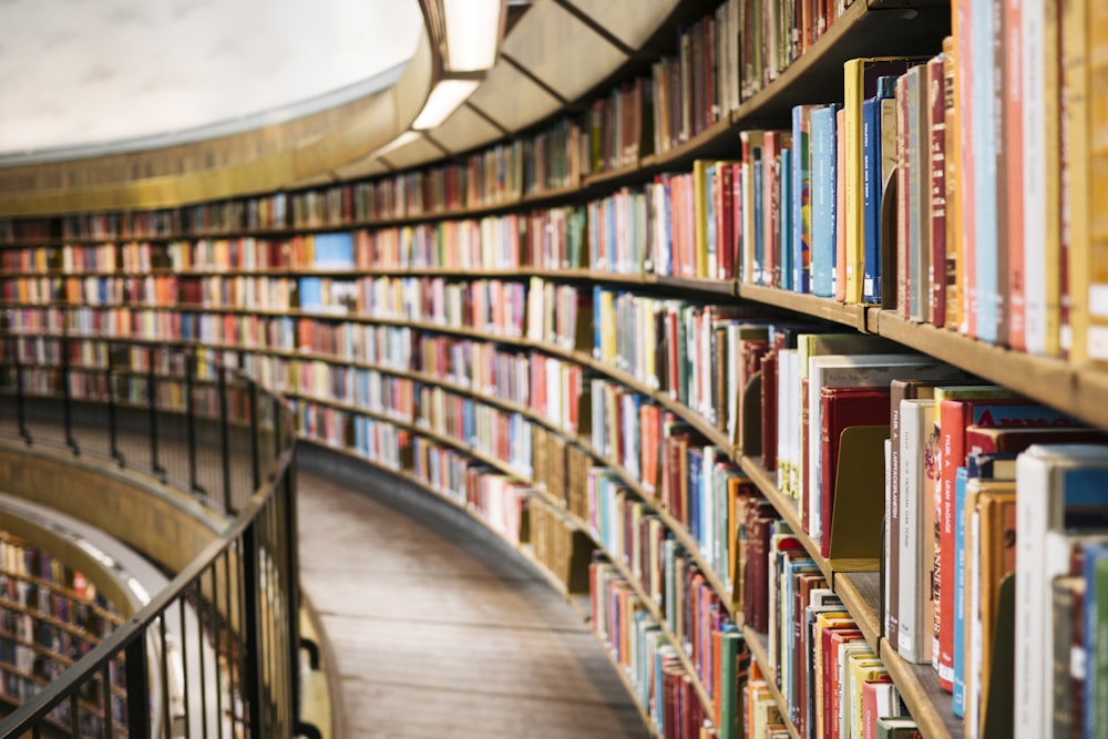 Antique Family Archives Library Manuscripts