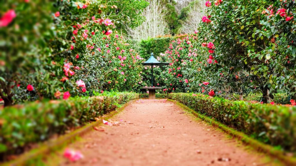 Manicured Estate Gardens and Grounds