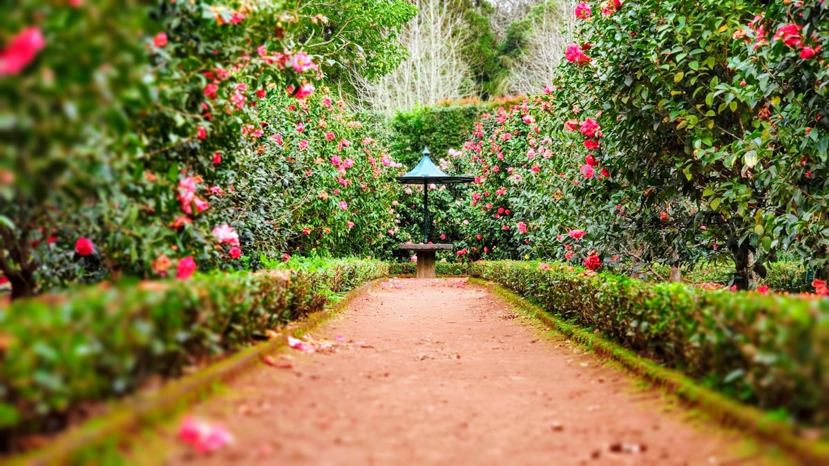 Manicured Estate Gardens and Grounds